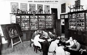 Alger - ecole Nationale d'Agriculture - 1950  